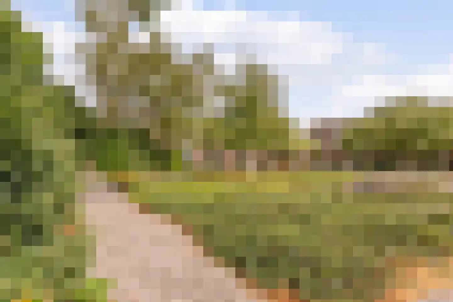 Kruishout 32 Cuijk thumbnail 44