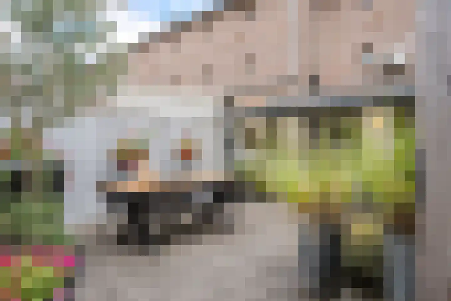Kruishout 32 Cuijk thumbnail 5