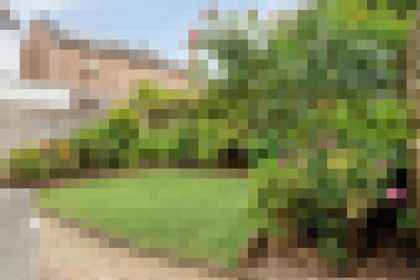Kruishout 8 Cuijk thumbnail 15