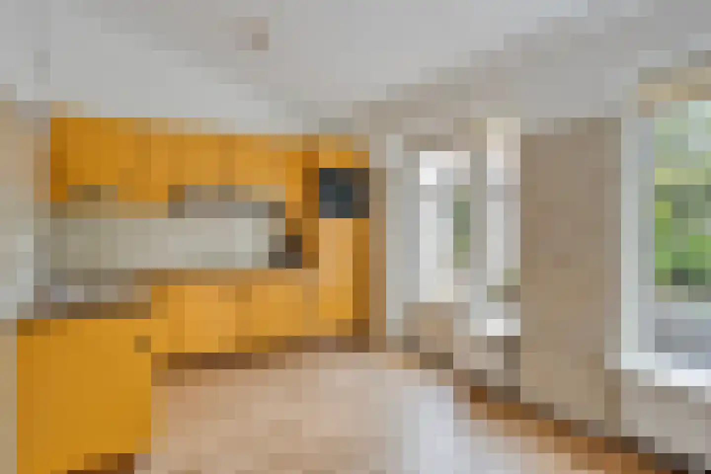 Kruishout 8 Cuijk thumbnail 5