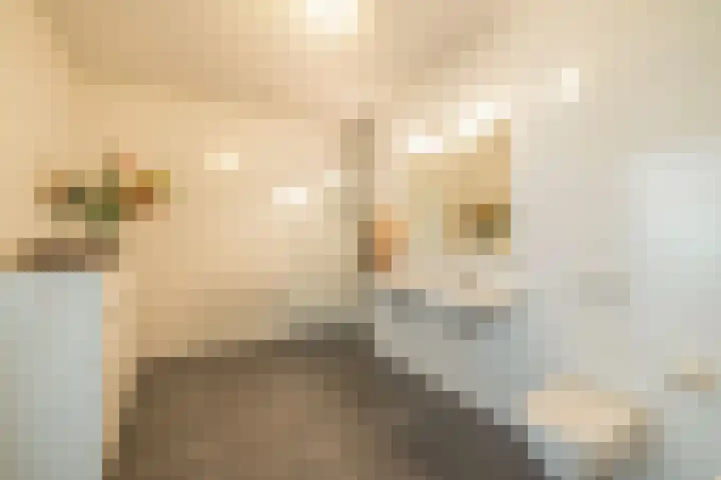 Kruiskade 2 E Rotterdam thumbnail 4