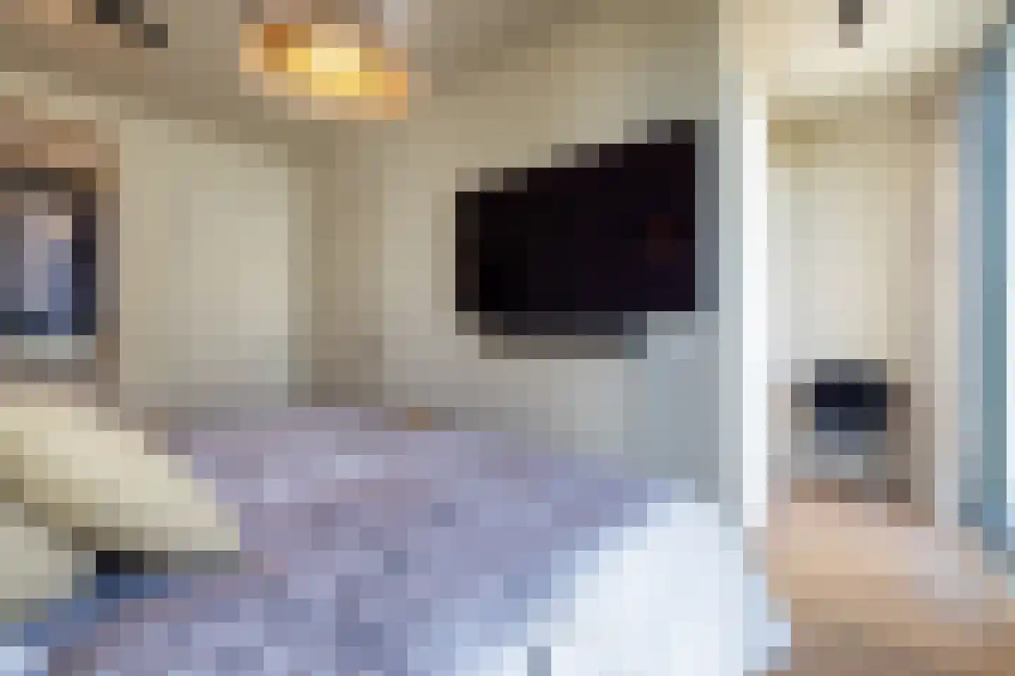 Kruiskade 2 H Rotterdam thumbnail 20