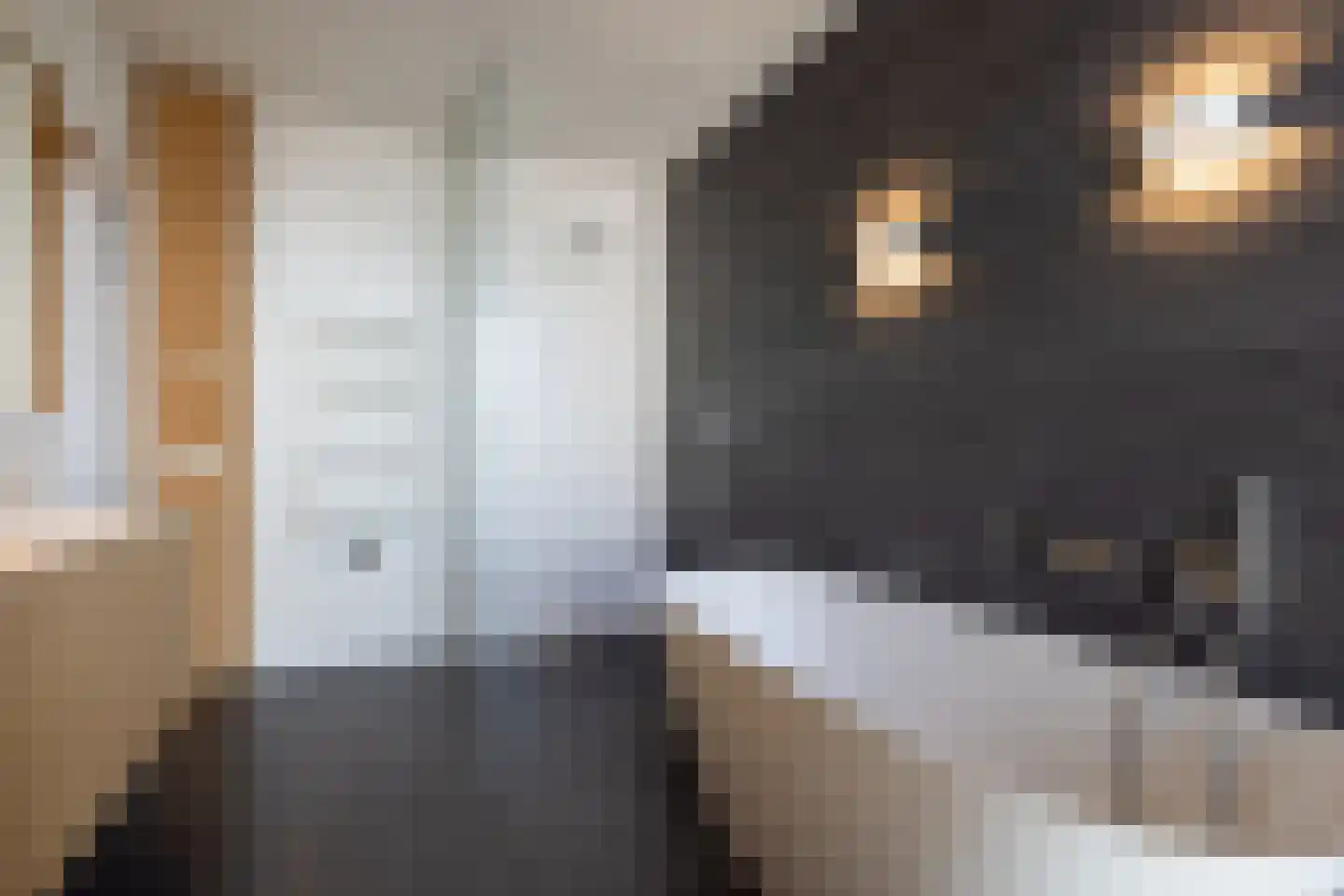 Kruiskade 2 M Rotterdam thumbnail 25
