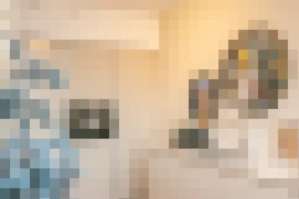 Kruiskade 217 Rotterdam thumbnail 13