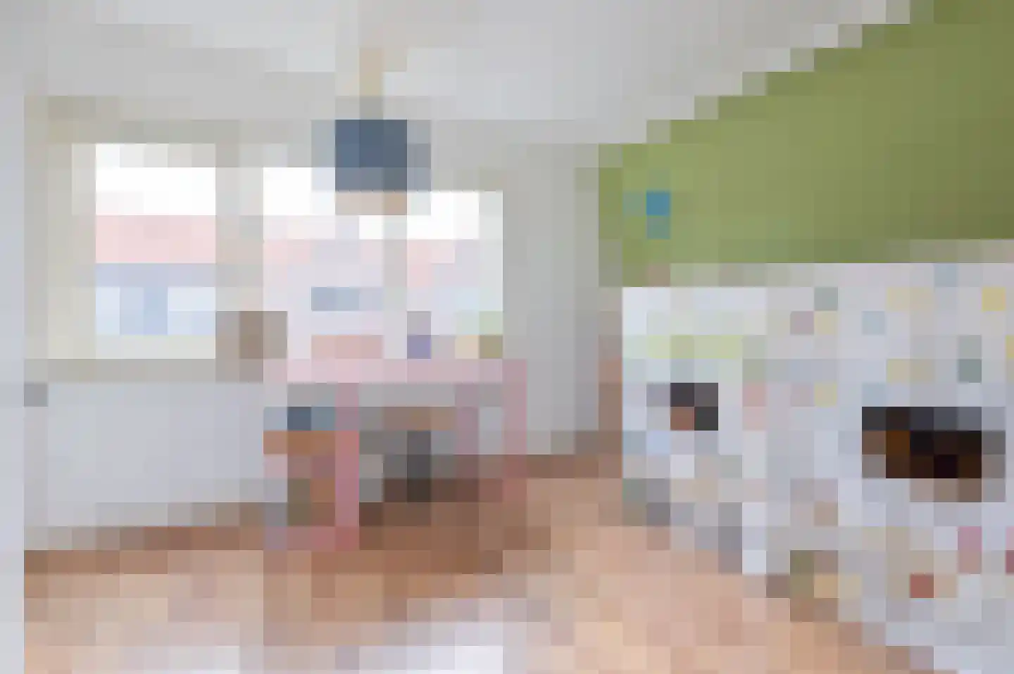 Kruiskamp 100 Amersfoort thumbnail 20