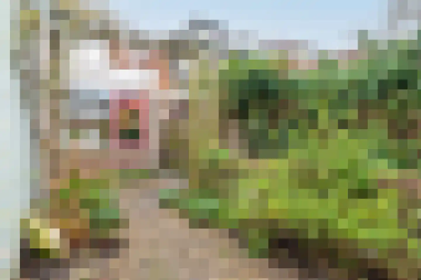 Kruiskamp 100 Amersfoort thumbnail 24