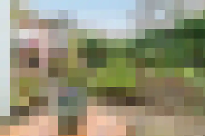 Kruiskamp 100 Amersfoort thumbnail 25