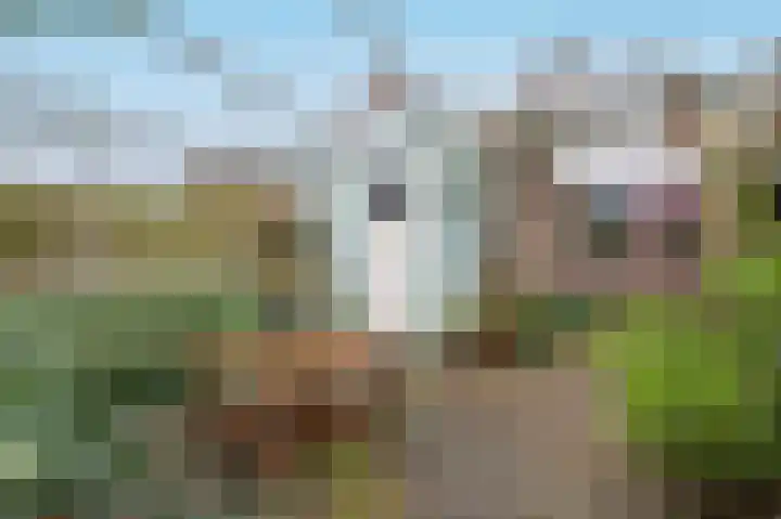 Kruiskamp 100 Amersfoort thumbnail 26