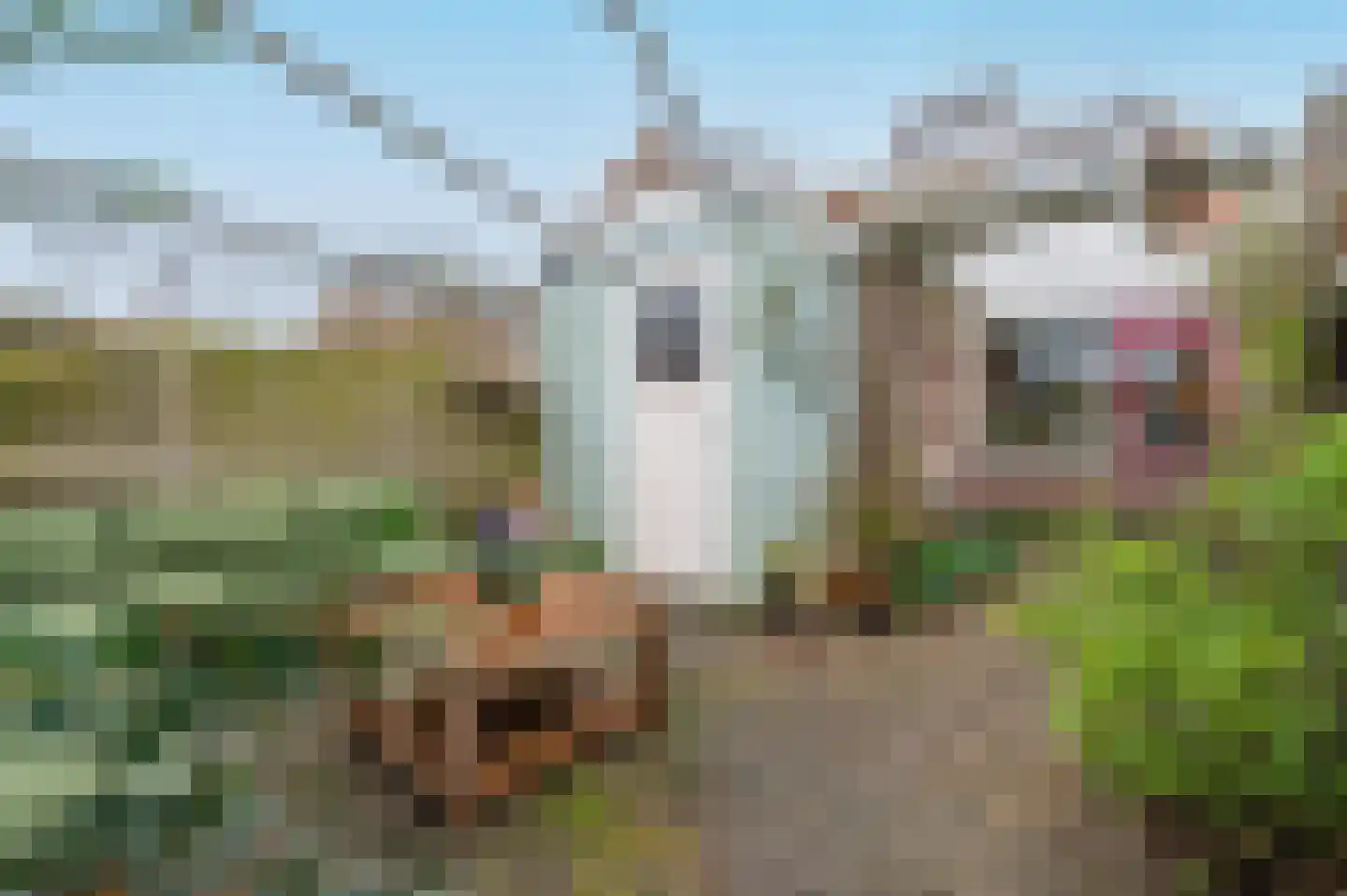 Kruiskamp 100 Amersfoort thumbnail 26