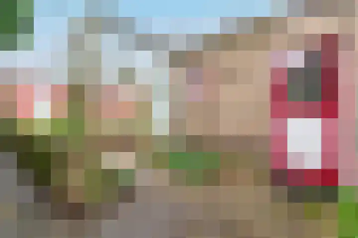Kruiskamp 100 Amersfoort thumbnail 27