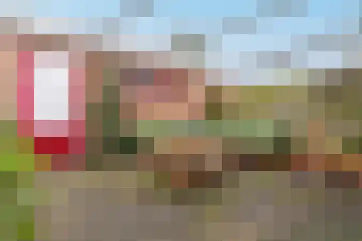 Kruiskamp 100 Amersfoort thumbnail 28