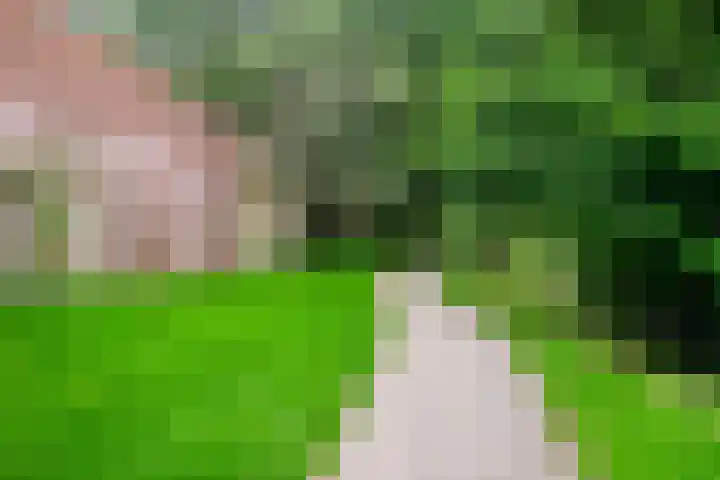 Kruiskamp 100 Amersfoort thumbnail 37