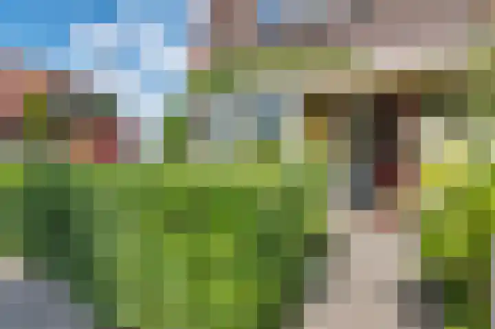Kruiskamp 108 Amersfoort thumbnail 5