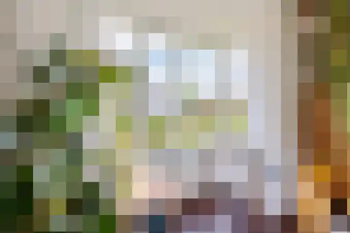Kruiskamp 108 Amersfoort thumbnail 9