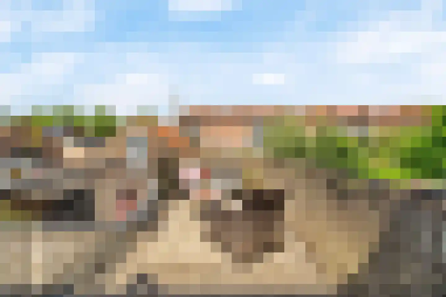 Kruiskamp 110 Amersfoort thumbnail 23