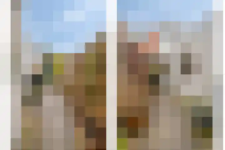 Kruiskamp 122 Amersfoort thumbnail 26