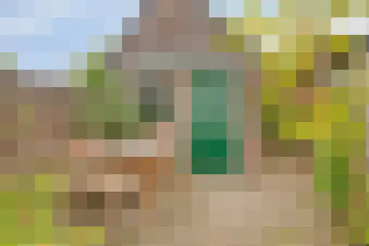 Kruiskamp 122 Amersfoort thumbnail 27