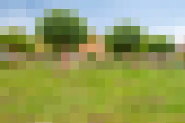 Kruiskamp 122 Amersfoort thumbnail 28