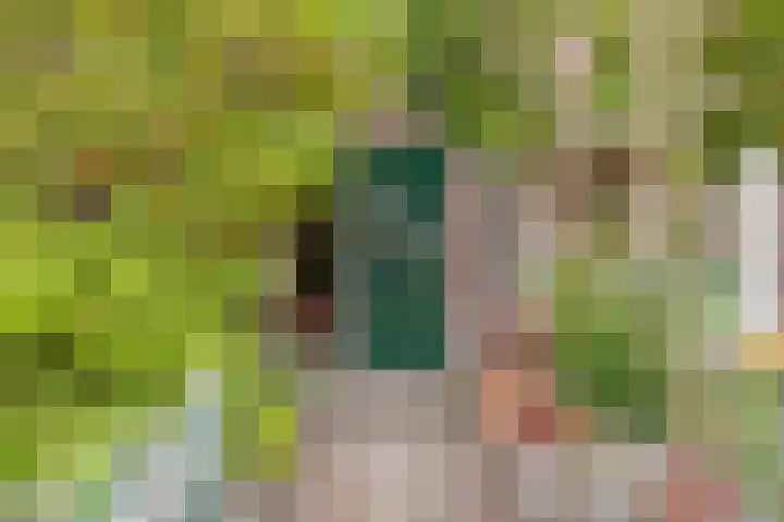 Kruiskamp 122 Amersfoort thumbnail 6