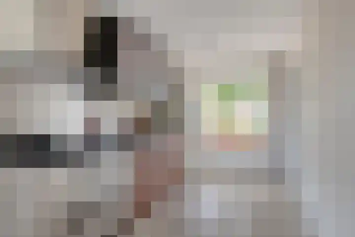 Kruiskamp 122 Amersfoort thumbnail 8