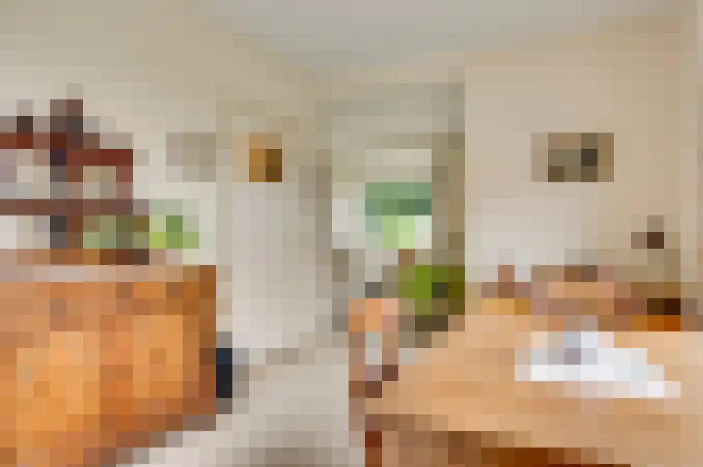 Kruiskamp 17 Swalmen thumbnail 11