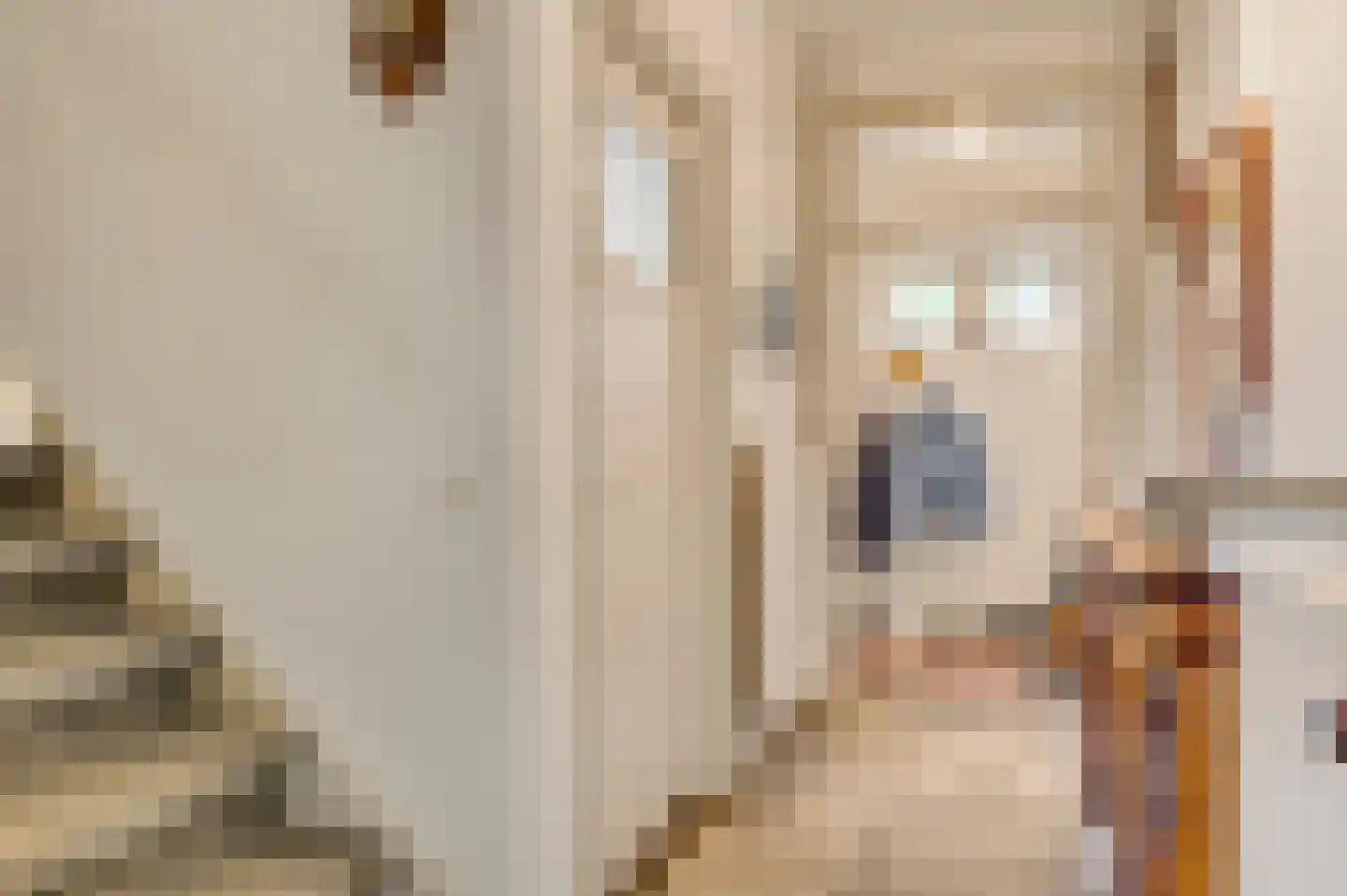 Kruiskamp 17 Swalmen thumbnail 19