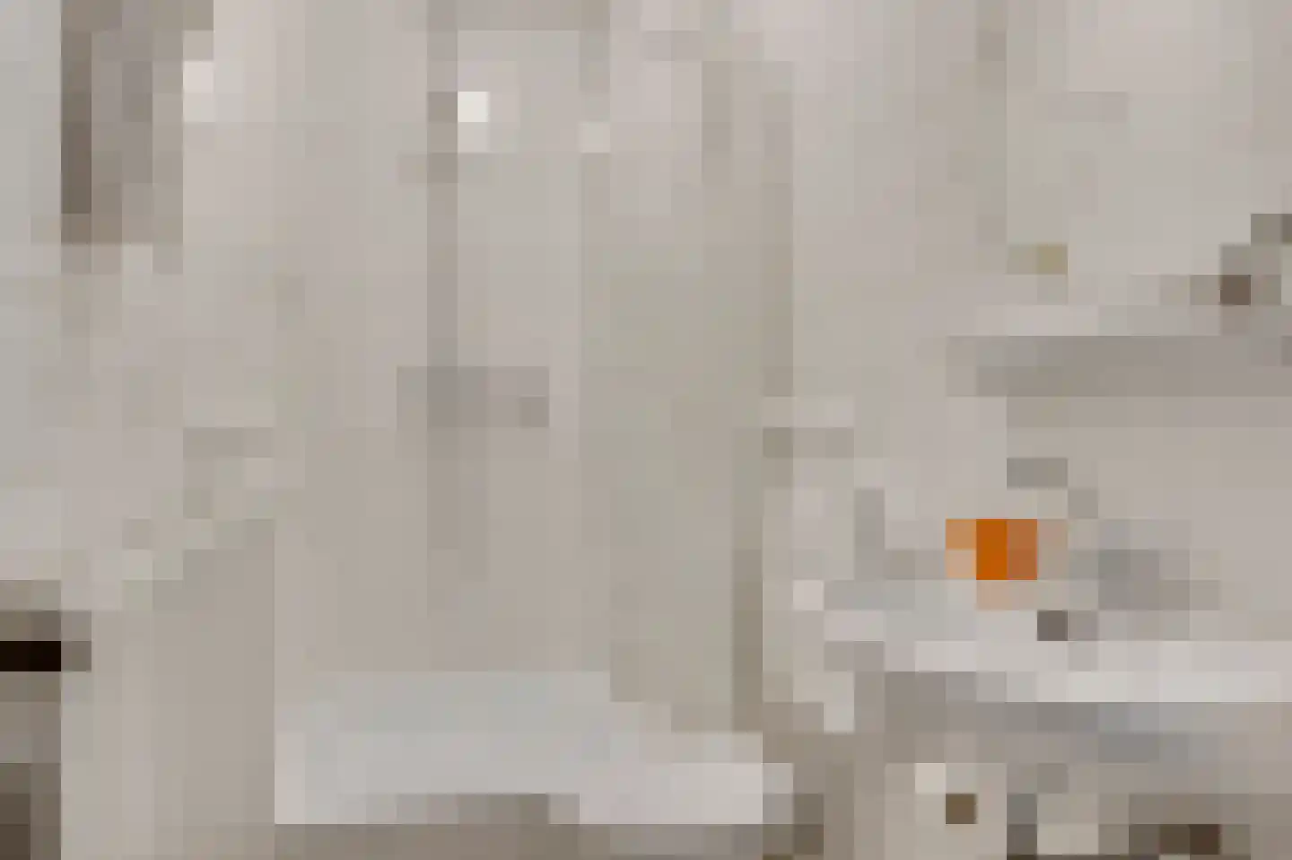 Kruiskamp 17 Swalmen thumbnail 27