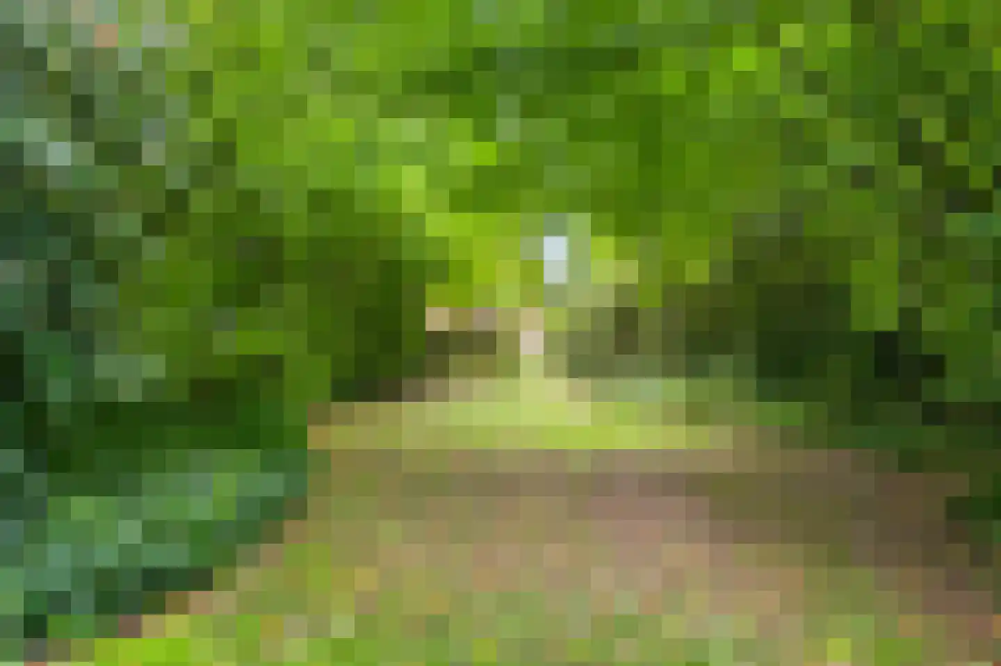 Kruiskamp 17 Swalmen thumbnail 36