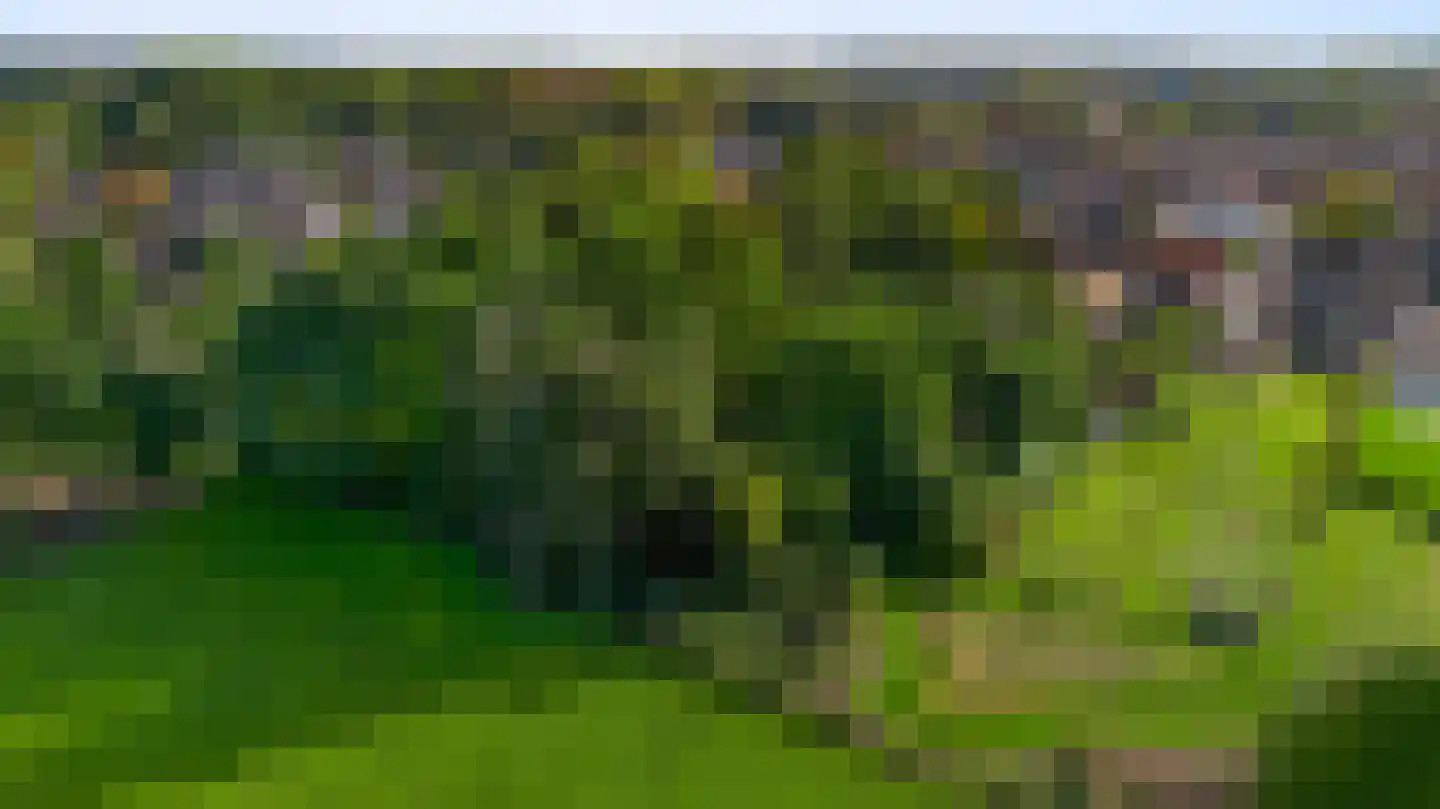 Kruiskamp 17 Swalmen thumbnail 4