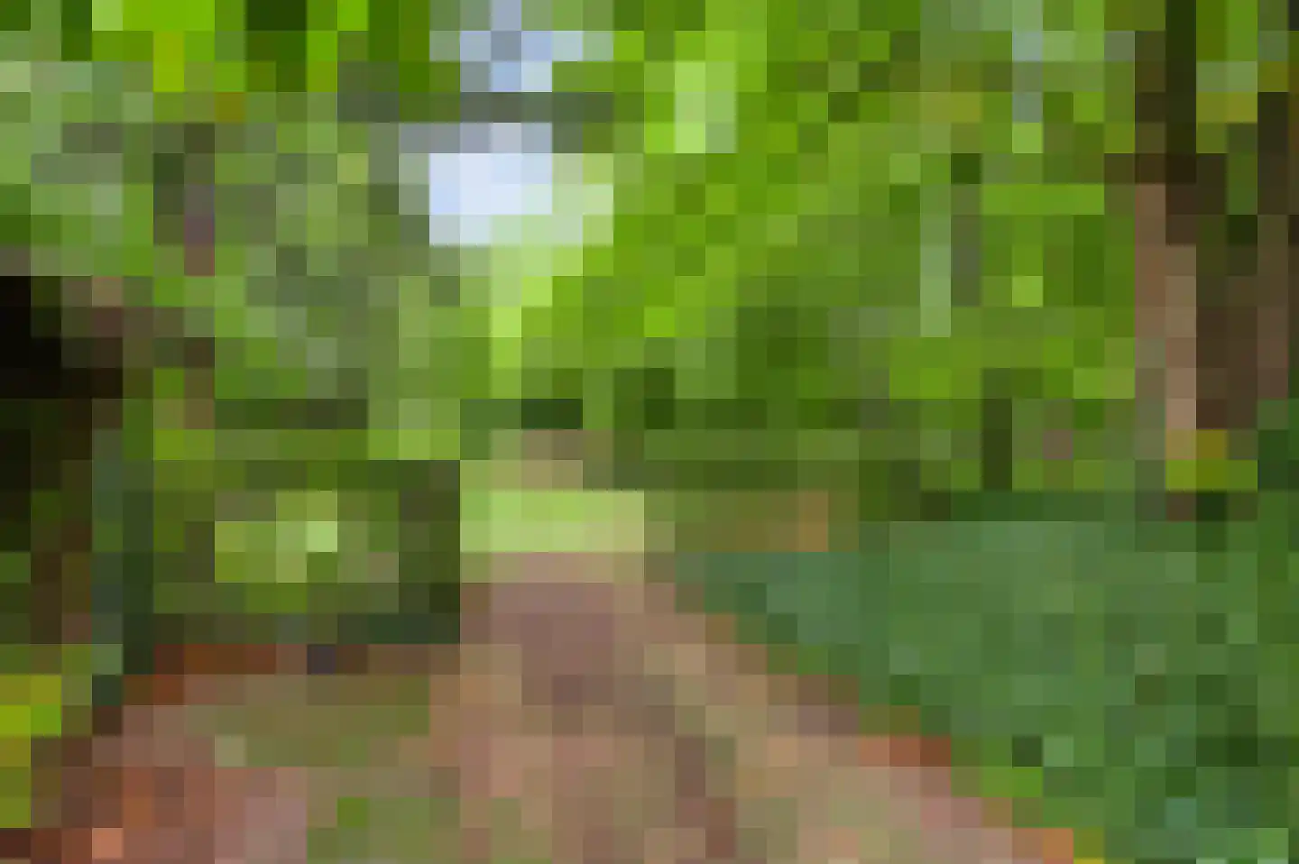 Kruiskamp 17 Swalmen thumbnail 41