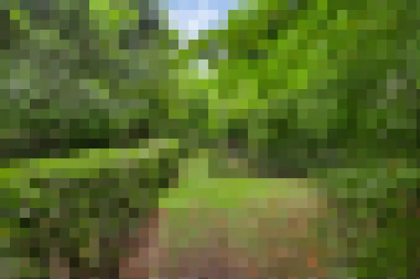Kruiskamp 17 Swalmen thumbnail 42