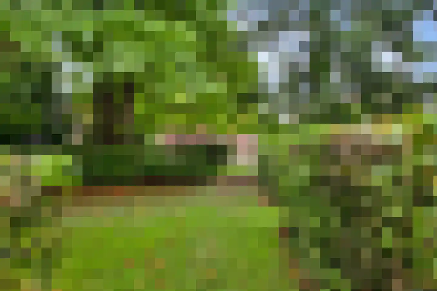 Kruiskamp 17 Swalmen thumbnail 43