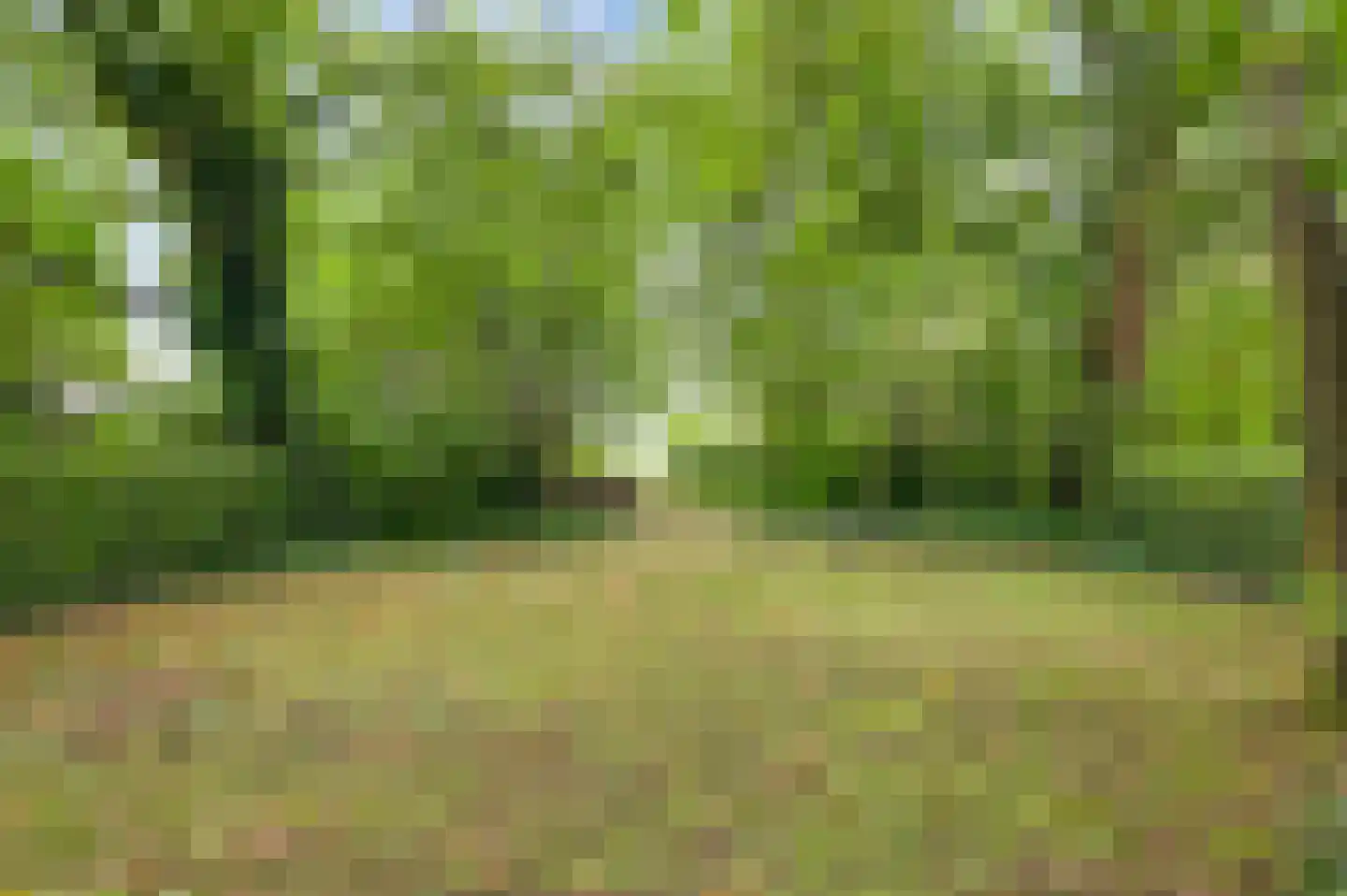 Kruiskamp 17 Swalmen thumbnail 44