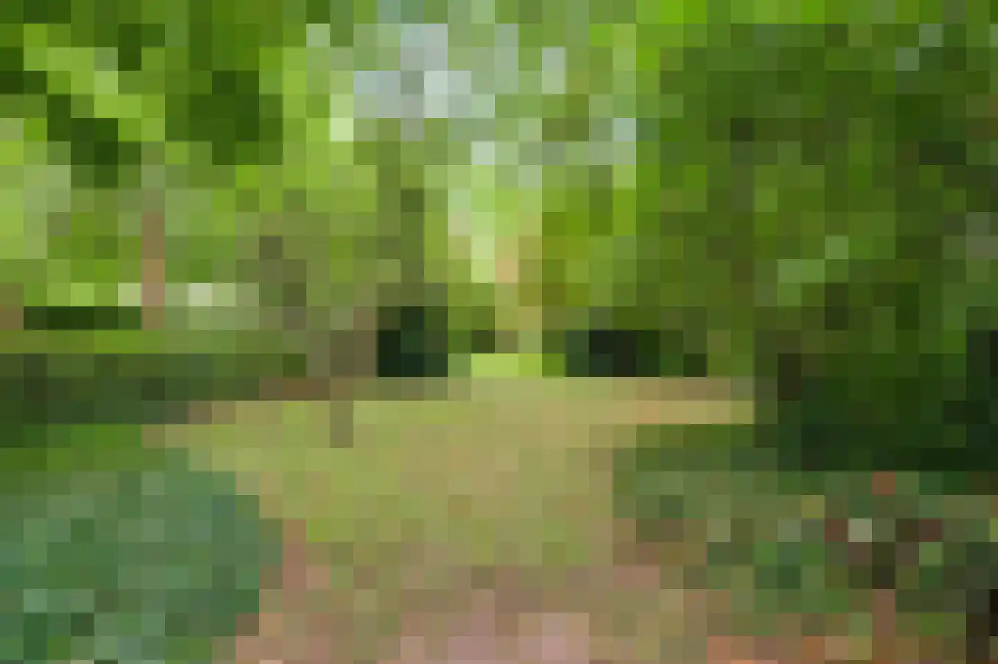 Kruiskamp 17 Swalmen thumbnail 45