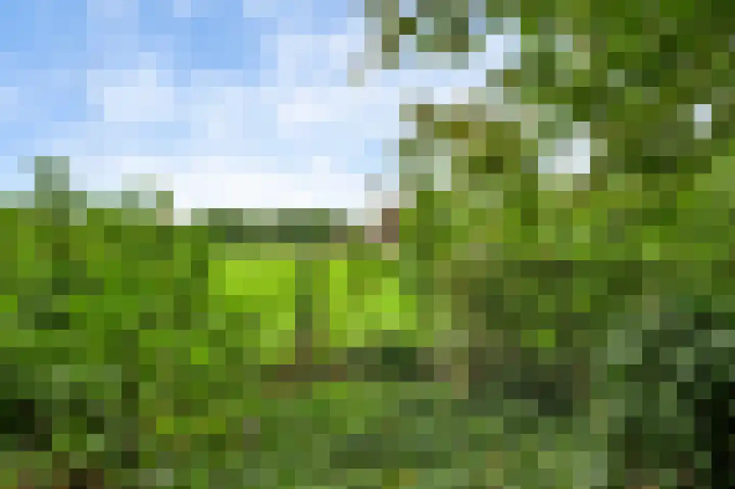 Kruiskamp 17 Swalmen thumbnail 46