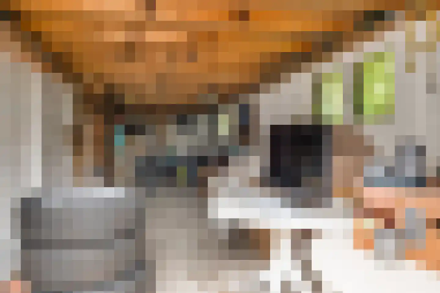 Kruiskamp 17 Swalmen thumbnail 49
