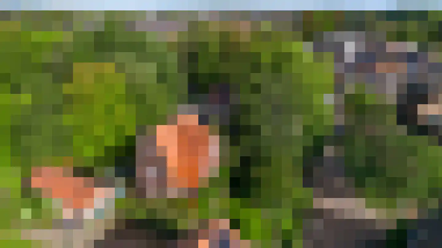 Kruiskamp 17 Swalmen thumbnail 56