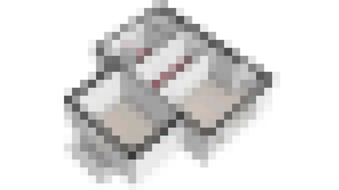 Kruiskamp 17 Swalmen thumbnail 66