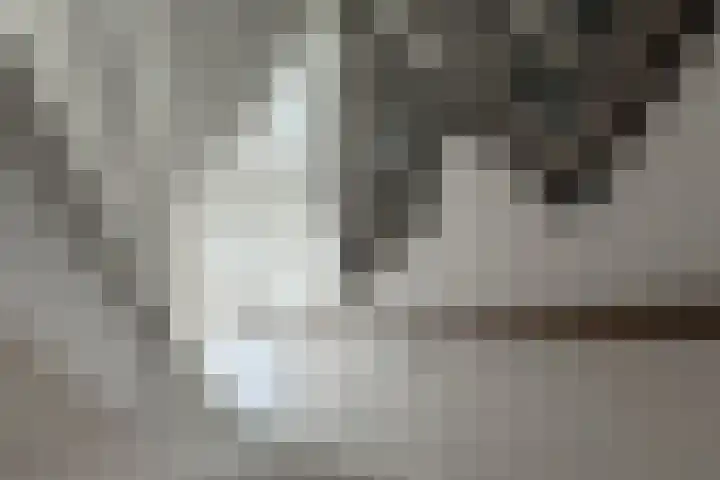Kruiskamp 20 1 Amersfoort thumbnail 17