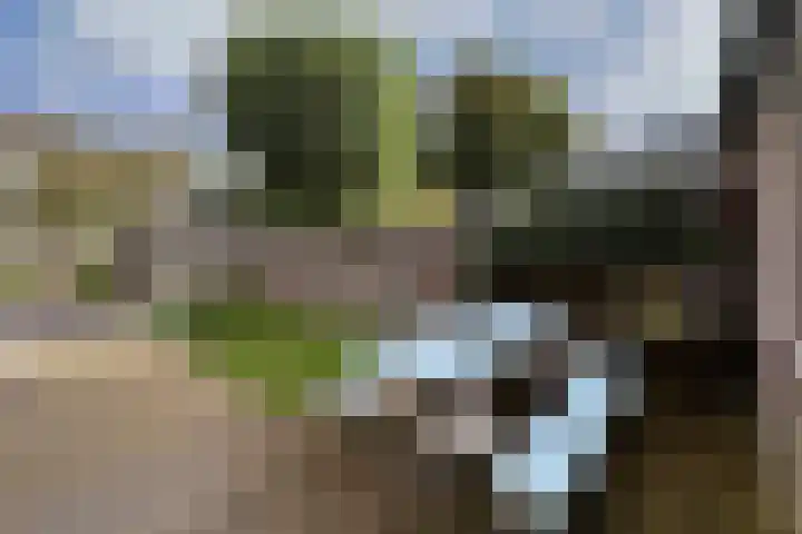 Kruiskamp 20 1 Amersfoort thumbnail 24