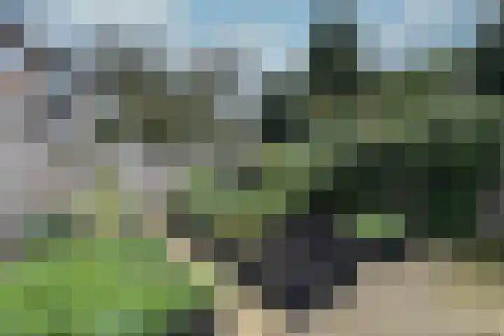 Kruiskamp 20 1 Amersfoort thumbnail 29