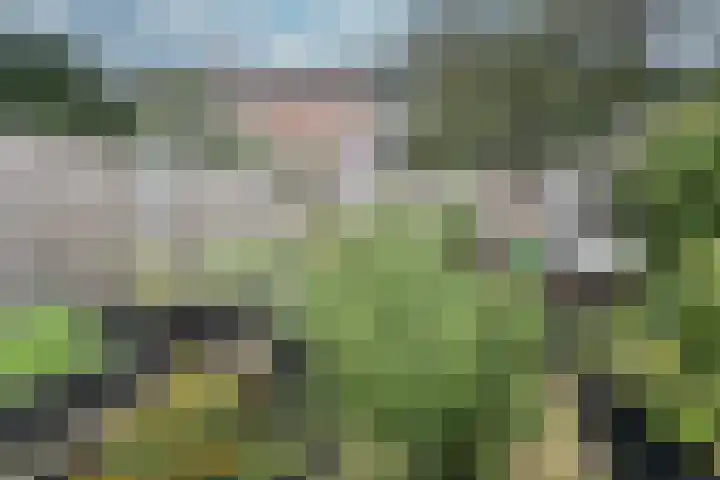 Kruiskamp 20 1 Amersfoort thumbnail 30
