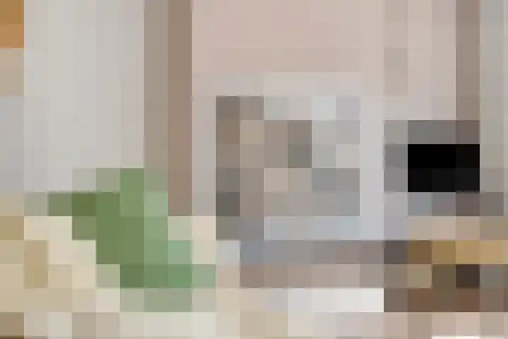 Kruiskamp 23 Eibergen thumbnail 10