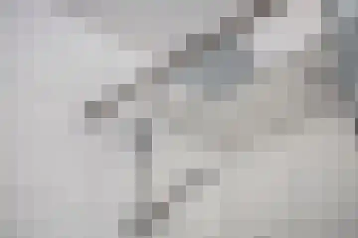 Kruiskamp 23 Eibergen thumbnail 23