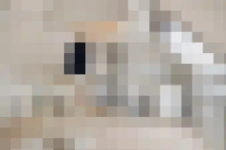 Kruiskamp 23 Eibergen thumbnail 27