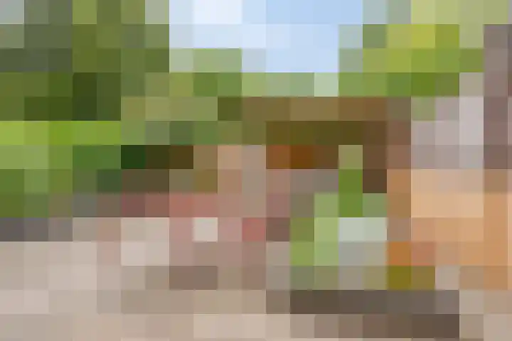 Kruiskamp 23 Eibergen thumbnail 28