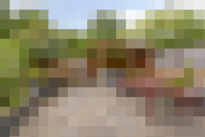 Kruiskamp 23 Eibergen thumbnail 29