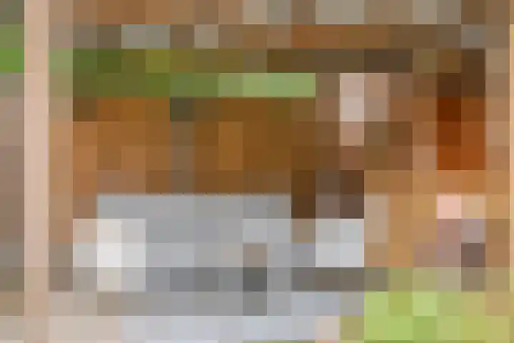 Kruiskamp 23 Eibergen thumbnail 30