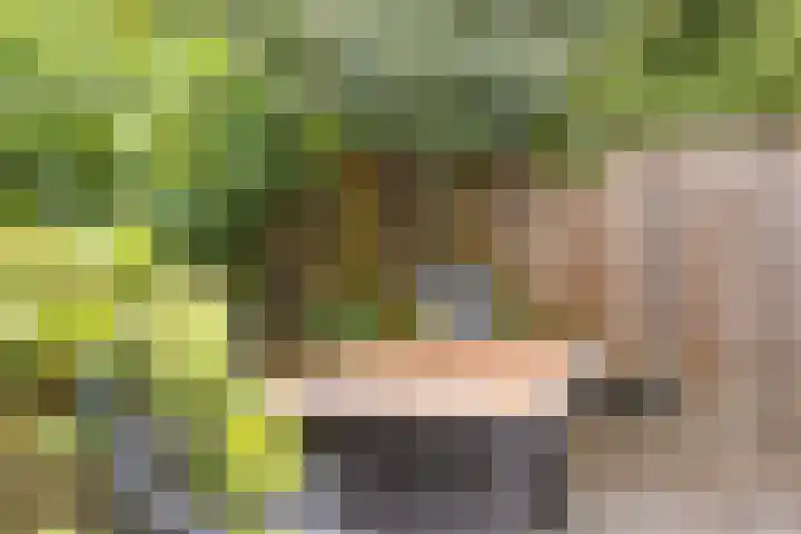 Kruiskamp 23 Eibergen thumbnail 31