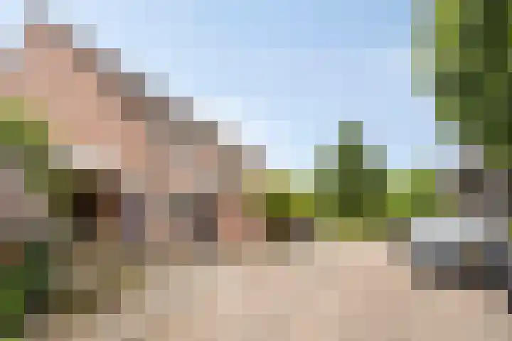 Kruiskamp 23 Eibergen thumbnail 34